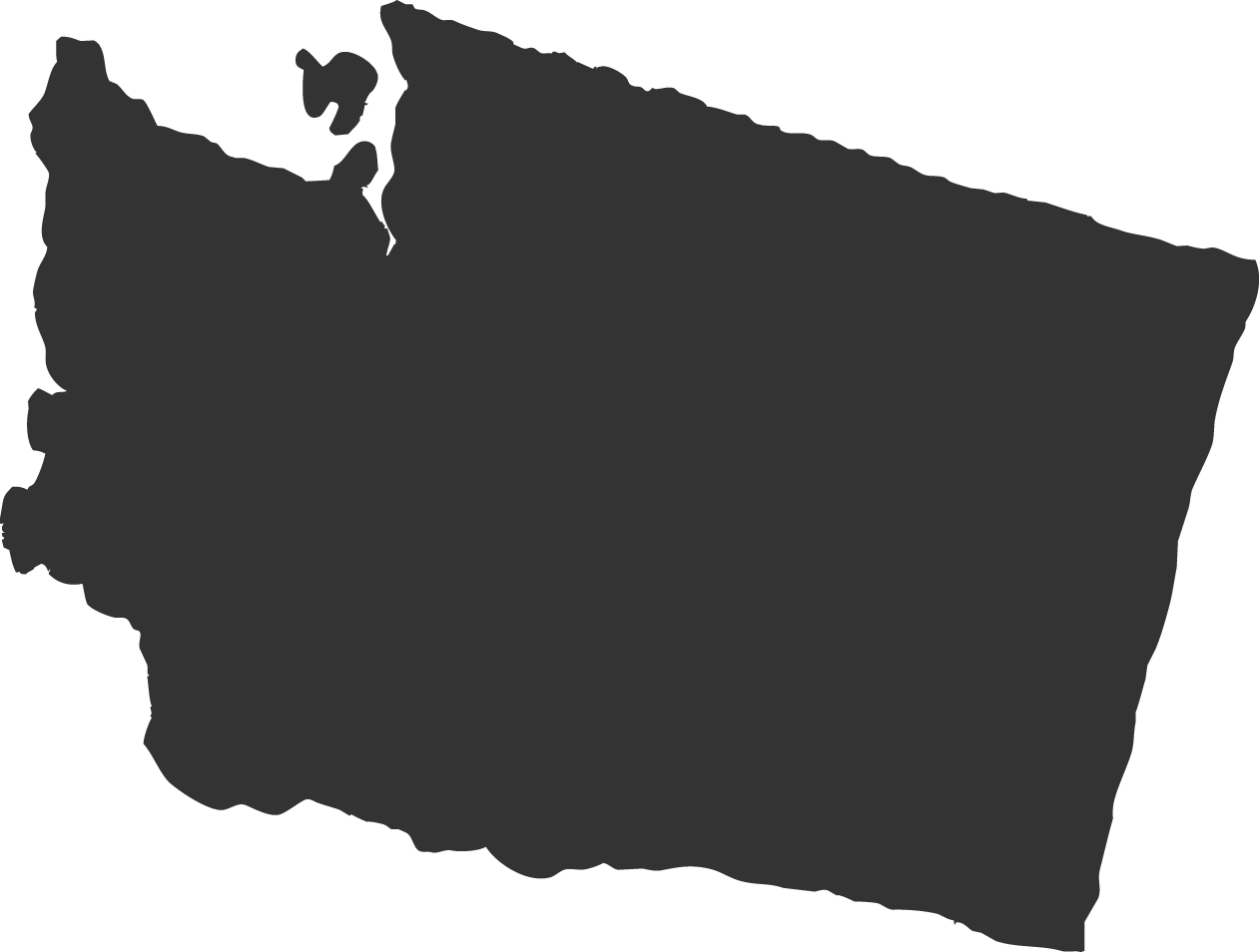 Washington icon